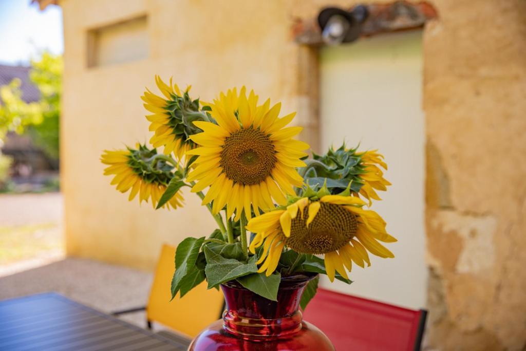 Bed and Breakfast Domaine De Laplan Cezan Exterior foto